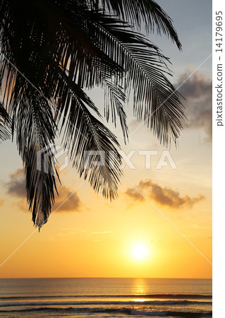 巴厘島日落2 14179695