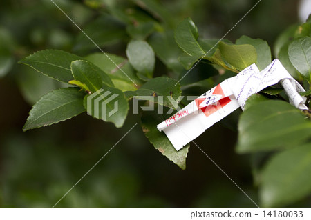 Omikuji 1 14180033