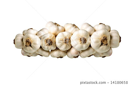 Bunch of garlic isolated 14180658