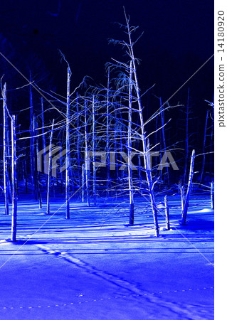 Biei's Blue Pond 14180920