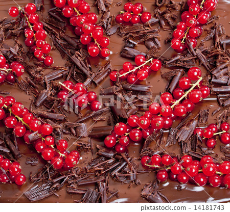 red currant with chocolate red currant with chocolate 14181743