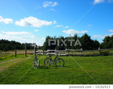 大草原和自行車 14182013