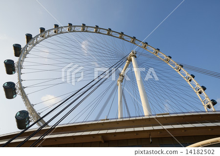 新加坡新加坡傳單 14182502