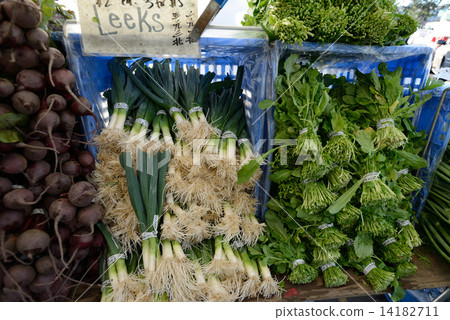 美國舊金山農民市場 14182711