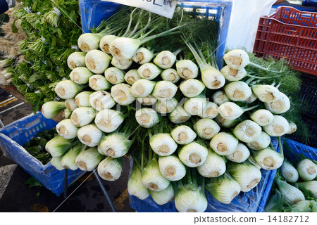 美國舊金山農民市場 14182712