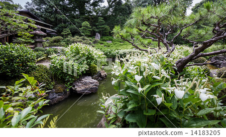 Hansee節目 Hansee節目 14183205