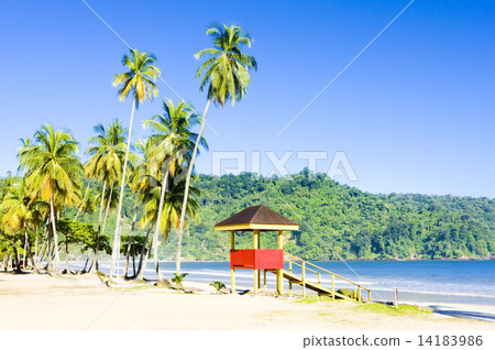 cabin on the beach, Maracas Bay, Trinidad 14183986