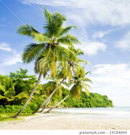 La Sagesse Bay, Grenada La Sagesse Bay, Grenada 14184004