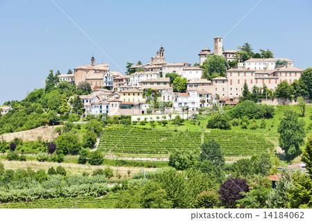 Neive, Piedmont, Italy 14184062