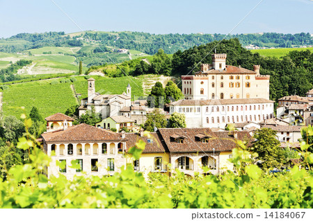 Barolo, Piedmont, Italy 14184067