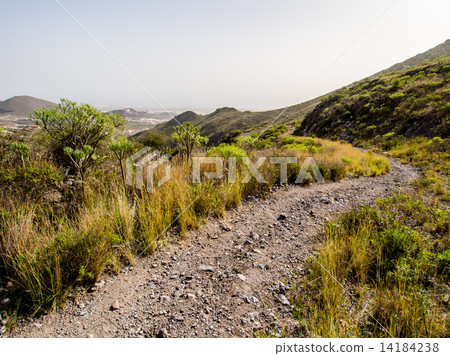 Rocky landscape of Tenerife. Canary Islands. Spain 14184238