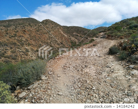 Rocky landscape of Tenerife. Canary Islands. Spain 14184242