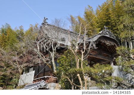 【四國88寺院】57號 愛媛縣今治市早春永福寺正殿 【四國88寺院】57號 愛媛縣今治市早春永福寺正殿 14184385