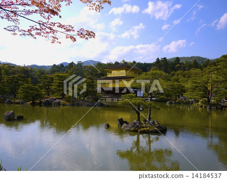 Autumn Kinkakuji Temple Autumn Kinkakuji Temple 14184537