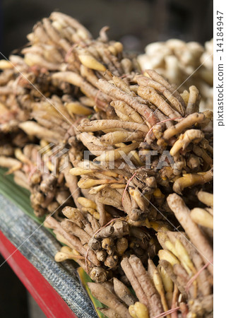 Finger-root in fresh market 14184947