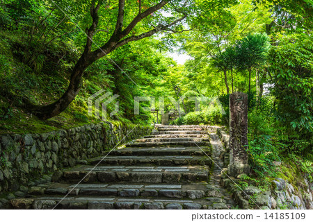 京都Asadoku Nenbutsuji寺 14185109
