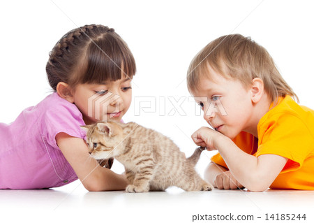 children playing with cat kitten 14185244