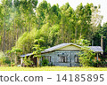 Rural house in front of  the woods 14185895