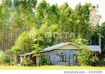 Rural house in front of the woods Rural house in front of the woods 14185895