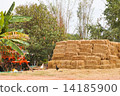 Pile of hay bales 14185900