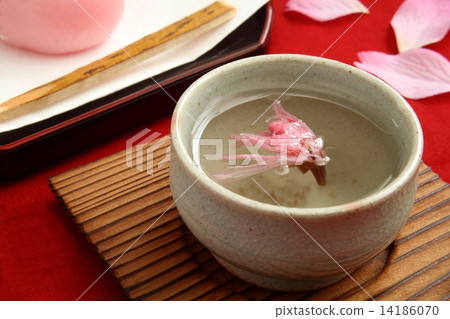 櫻花茶櫻花櫻花觀賞 14186070
