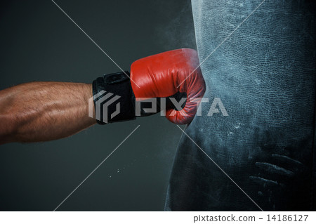 Boxing training and Punching bag Boxing training and Punching bag 14186127