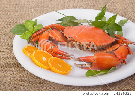 Cooked whole dungeness crab Cooked whole dungeness crab 14186325