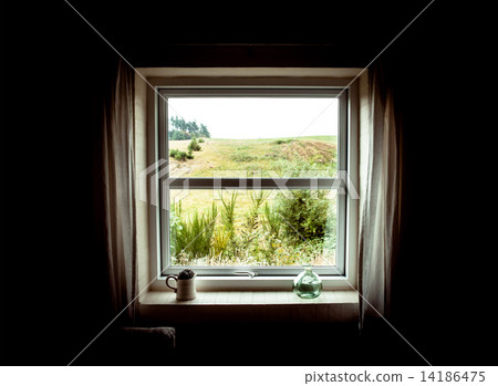 Window to nature Window to nature 14186475