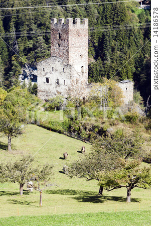 ruins of Sils Castle, canton Graubunden, Switzerland 14186578