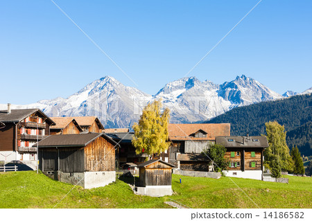 Sodrun, canton Graubunden, Switzerland 14186582