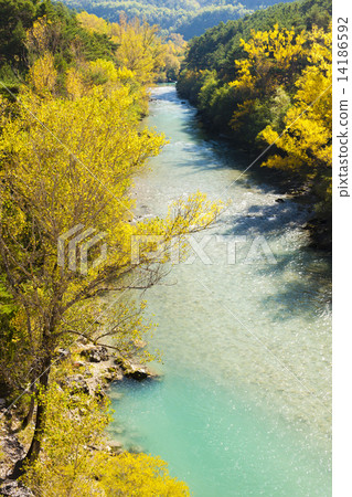 valley of river Verdon in autumn, Provence, France 14186592