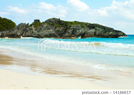 Horseshoe Bay Beach in Bermuda 14186657