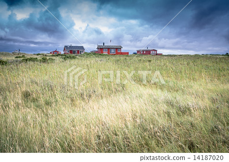 Summer cabins resort Summer cabins resort 14187020