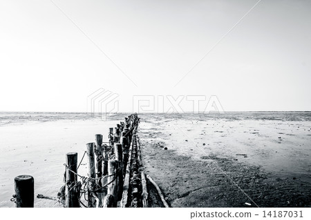 Low tide beach Low tide beach 14187031