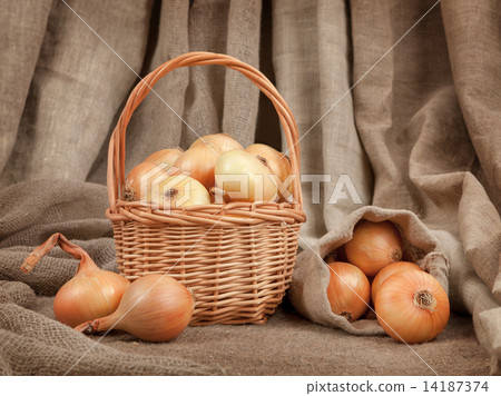The beautiful and ripe onions in a basket on the table The beautiful and ripe onions in a basket on the table 14187374