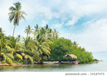 Equatorial forest and boats on the lake 14187473