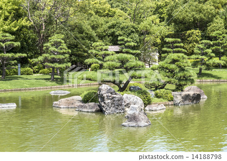 Pine Tree Island - Japanese Garden -Sakai City, Osaka 14188798