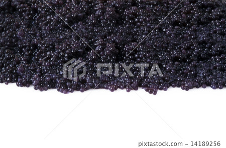 Caviar group on white background 14189256