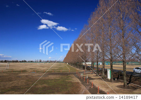 Scenery of Saiguma Nishi-ku Saitama-shi 14189417