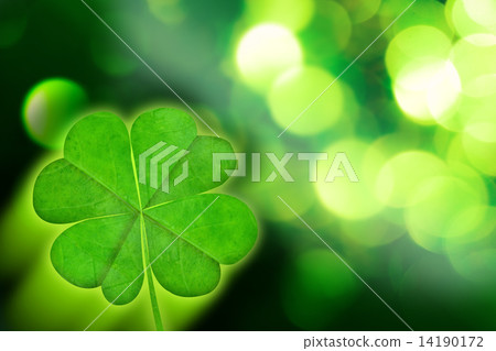 Composite image of shamrock 14190172