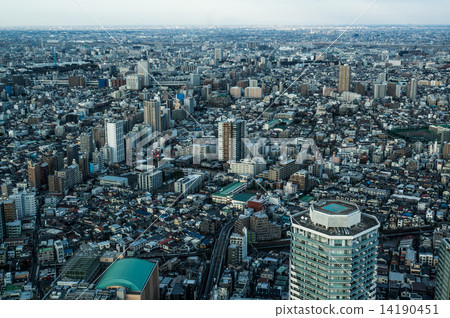 Urban area bird's eye view Ikebukuro, Otsuka, Sugudo 14190451