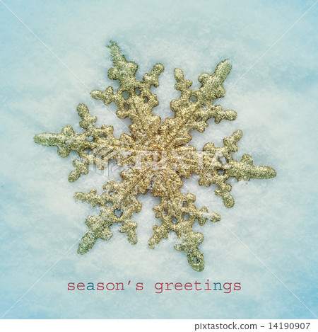 snowy seasons greetings 14190907