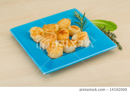 Grilled scallops 14192008