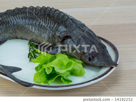 Raw strugeon Raw strugeon 14192252