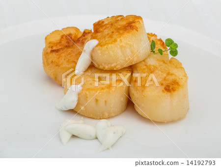 Grilled scallops Grilled scallops 14192793