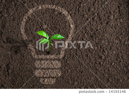 Green plant in light bulb silhouette on soil background 14193146