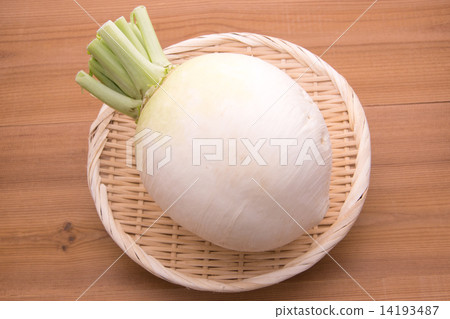 Shogoin Daikon Shogoin Daikon 14193487