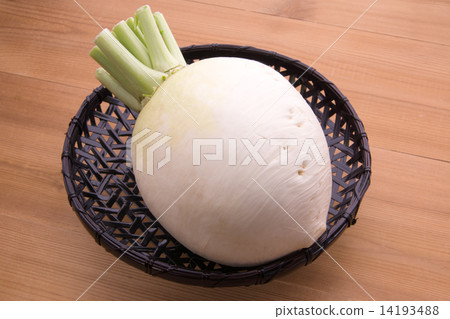 Shogoin Daikon 14193488