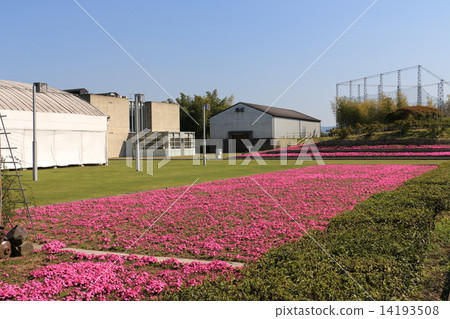 宮崎縣宮古野市 14193508