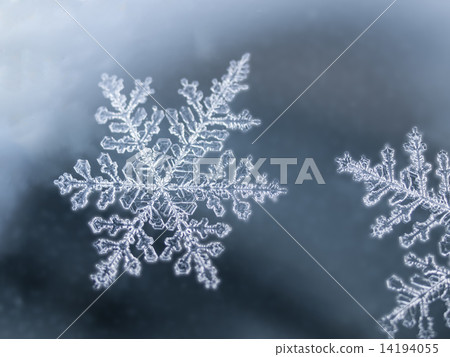 Crystal (Lateral · Crystal 5) Crystal (Lateral · Crystal 5) 14194055